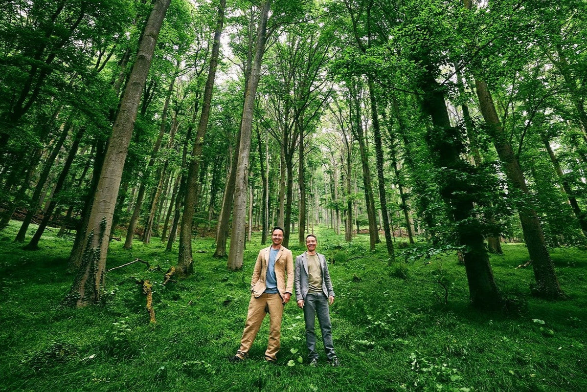 STRAUSS FOREST