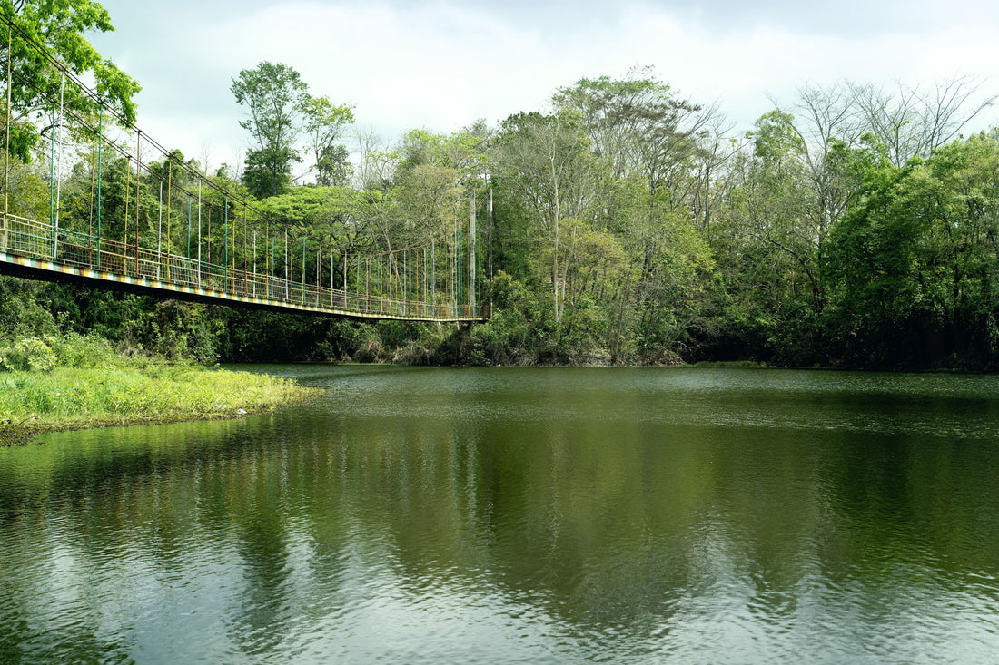 ENVIRONMENTAL AND RESOURCE PROTECTION